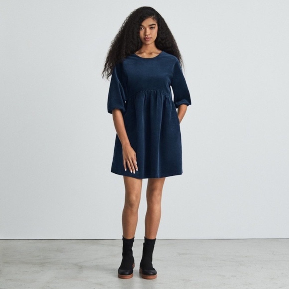Everlane The Corduroy Mini Dress